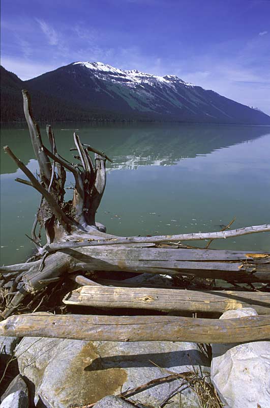 Moose Lake
