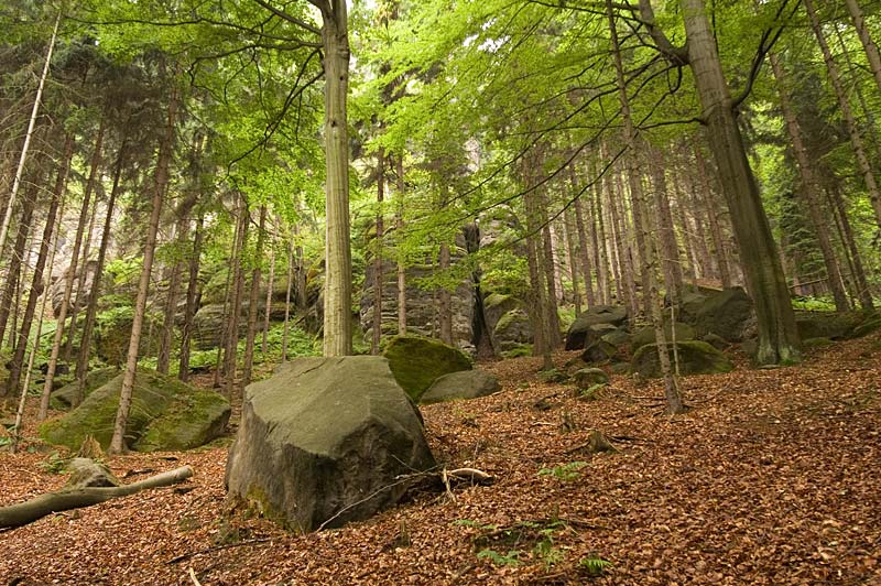 At the Affensteine