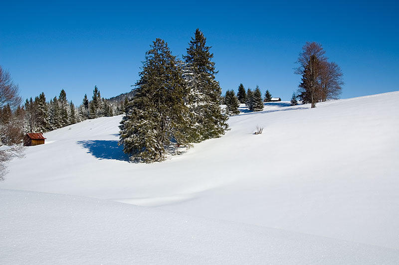 Winterlandschaft