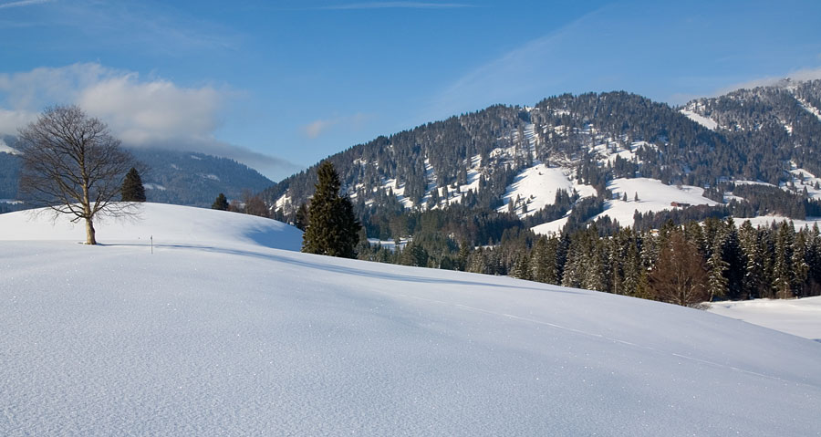 Winter in Allgäu