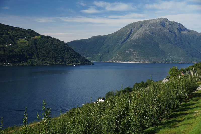 Sørfjord