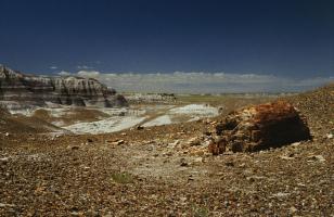 Petrified Forest