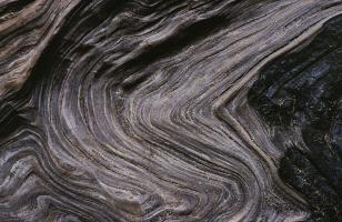 Burned wood