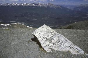 Whistler Mountain