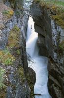 Maligne Canyon