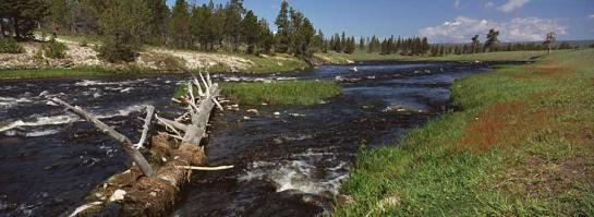Firehole River