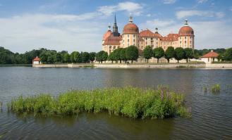 Moritzburg Castle