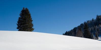 Schneelandschaft
