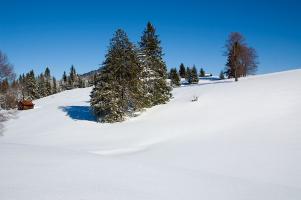 Winter landscape