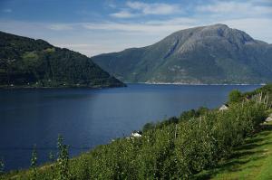 Sørfjord